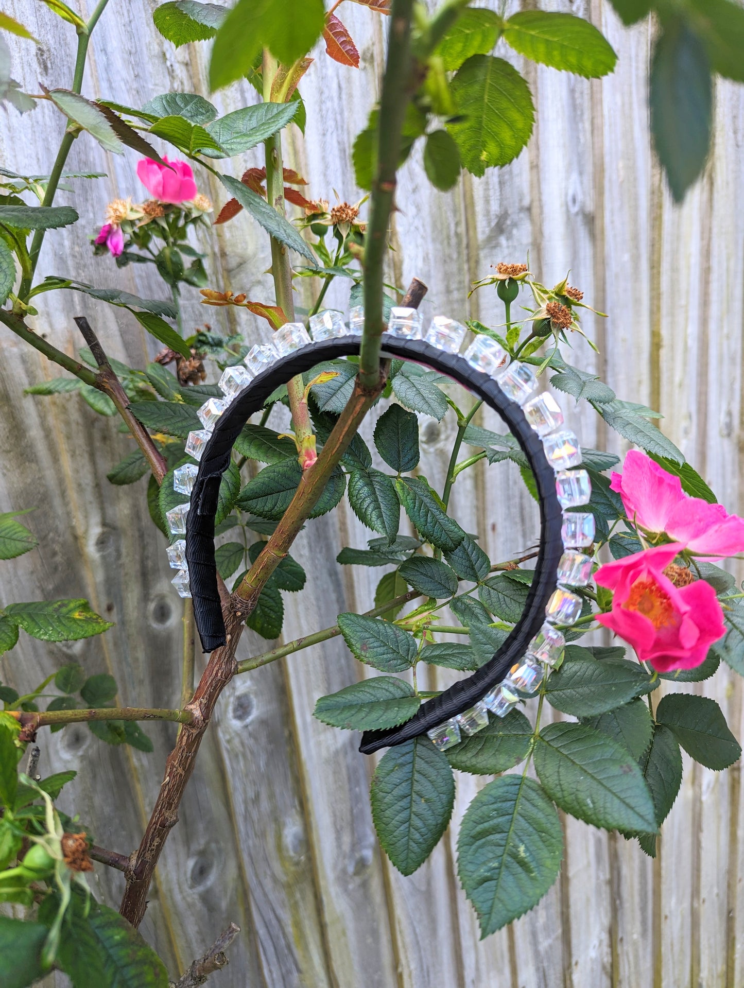 Amara